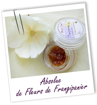 Absolue Frangipanier fleurs Aroma-Zone
