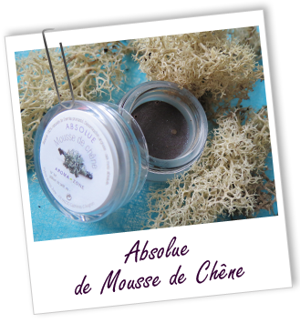 Absolue Mousse de Chêne Aroma-Zone