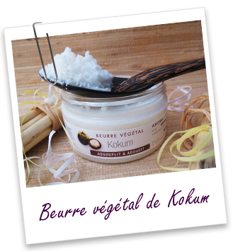 Beurre végétal Kokum (sauvage) Aroma-Zone