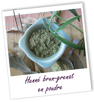 Coloration & Soin capillaire Henné Brun Grenat Aroma-Zone
