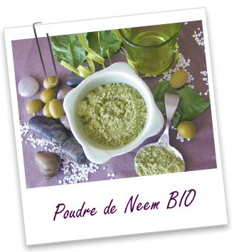 Ним (neem) - Aroma Zone Poudre ayurvédique Neem BIO Aroma-Zone