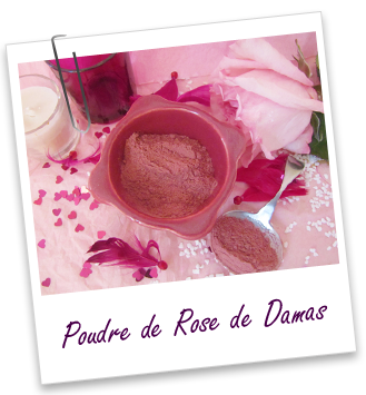 Poudre ayurvédique Rose de Damas Aroma-Zone