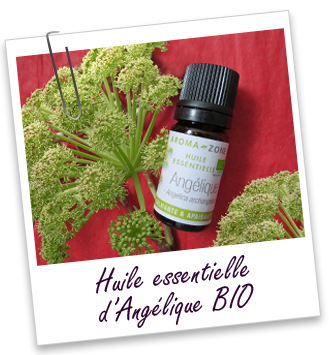 Huile essentielle Angélique archangélique BIO Aroma-Zone