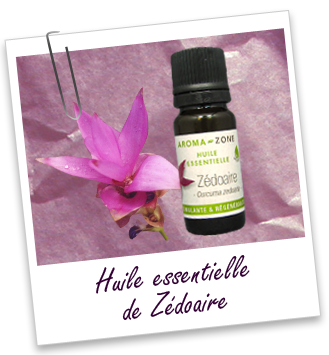 Huile essentielle Zédoaire BIO Aroma-Zone