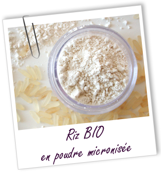 Poudre Riz micronisée BIO Aroma-Zone