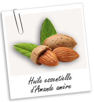 Huile essentielle Amande amère Aroma-Zone