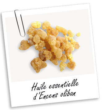 Huile essentielle Encens Oliban Aroma-Zone