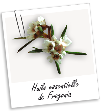 Huile essentielle Fragonia Aroma-Zone