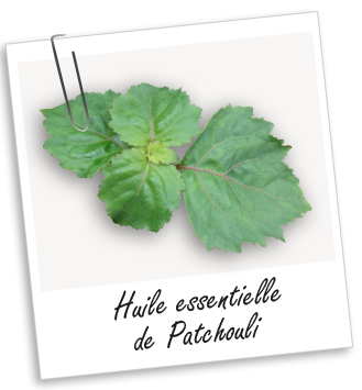 Huile essentielle Patchouli Aroma-Zone