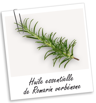 Huile essentielle Romarin à verbénone BIO Aroma-Zone
