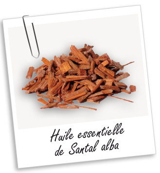 Huile essentielle Santal alba Aroma-Zone
