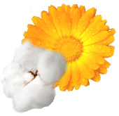 Savon Douceur au lait ânesse BIO Aroma-Zone