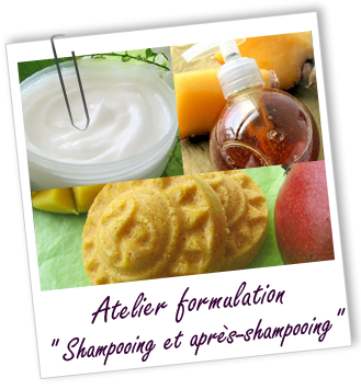 Atelier Clés de la formulation -