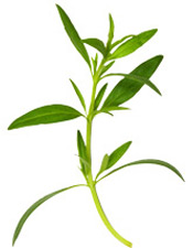 Huile essentielle Estragon Aroma-Zone