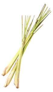 Huile essentielle Citronnelle de Java BIO Aroma-Zone