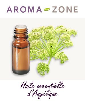 Huile essentielle Angélique archangélique Aroma-Zone