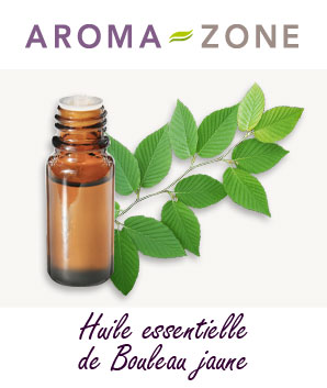 Huile essentielle Bouleau jaune Aroma-Zone