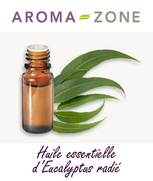 Huile Essentielle D Eucalyptus Radie Proprietes Et Utilisations Aroma Zone Huile Essentielle D Eucalyptus Radie Proprietes Et Utilisations Aroma Zone