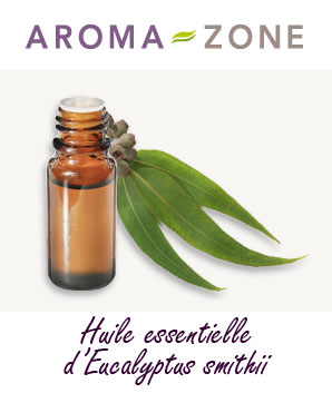 Huile Essentielle D Eucalyptus Smithii Proprietes Et Utilisations Aroma Zone Huile Essentielle D Eucalyptus Smithii Proprietes Et Utilisations Aroma Zone