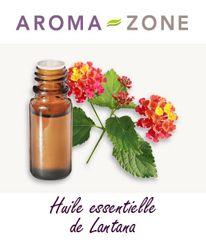Huile essentielle Lantana BIO Aroma-Zone