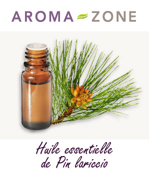 Huile essentielle Pin Lariccio BIO Aroma-Zone