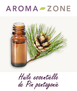 Huile essentielle Pin Patagonie Aroma-Zone