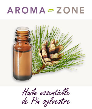 Huile Essentielle De Pin Sylvestre Proprietes Et Utilisations Aroma Zone