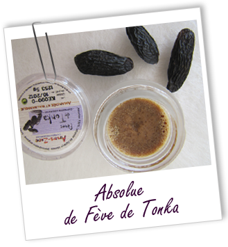 Absolue Tonka fèves Aroma-Zone