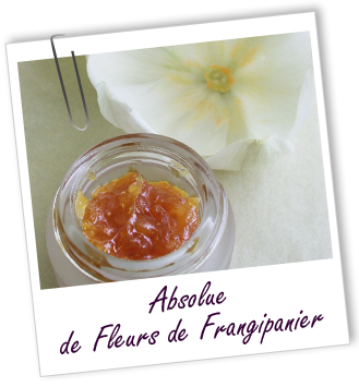Absolue Frangipanier fleurs Aroma-Zone