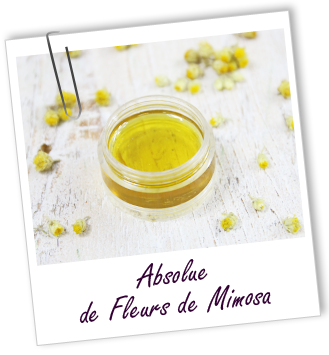 Absolue Mimosa Aroma-Zone