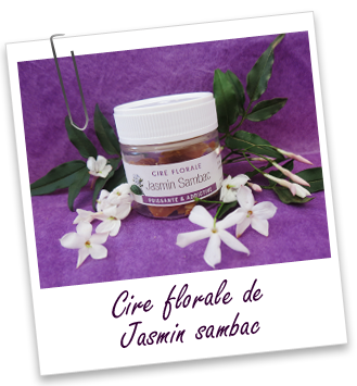 Cire florale Jasmin sambac Aroma-Zone