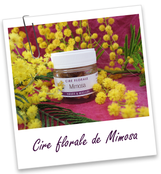Cire florale Mimosa Aroma-Zone