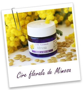 Cire florale Mimosa Aroma-Zone