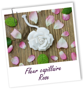 Fleur capillaire Rose Aroma-Zone