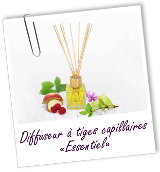 Diffuseur de senteurs à tiges 