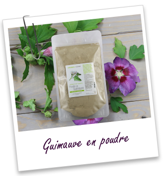 Guimauve en poudre Aroma-Zone