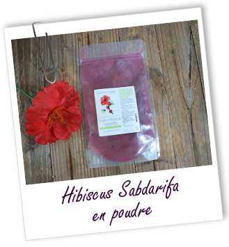 Poudre ayurvédique Hibiscus Aroma-Zone