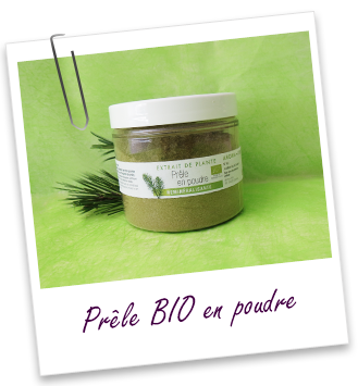 Prêle BIO en poudre Aroma-Zone