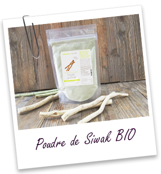 Poudre ayurvÃ©dique Siwak Aroma-Zone