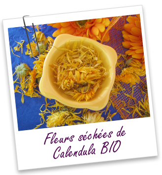 Fleurs séchées Calendula BIO