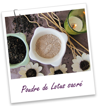 Poudre ayurvédique Lotus sacré Aroma-Zone