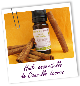 Huile essentielle Cannelle de Ceylan écorce Aroma-Zone