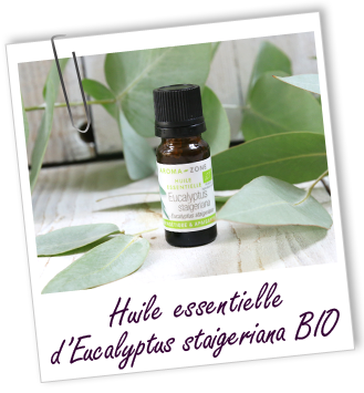 Huile essentielle Eucalyptus staigeriana BIO Aroma-Zone