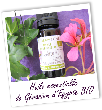Huile essentielle Géranium Egypte BIO Aroma-Zone
