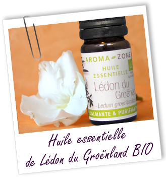 Huile essentielle Lédon du Groënland BIO Aroma-Zone