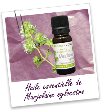 Huile essentielle Marjolaine Sylvestre Aroma-Zone