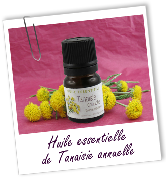 Huile essentielle Tanaisie annuelle (ou Camomille bleue) Aroma-Zone