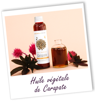 Huile végétale de Ximenia BIO