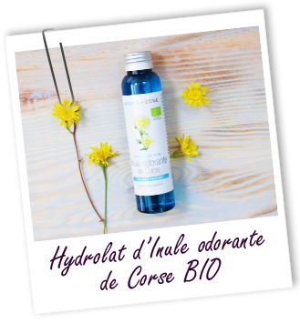 Hydrolat Inule odorante de Corse BIO Aroma-Zone