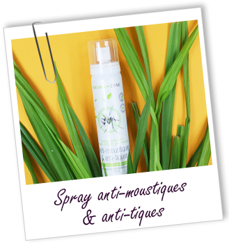 Spray répulsif anti-moustiques et anti-tiques Aroma-Zone